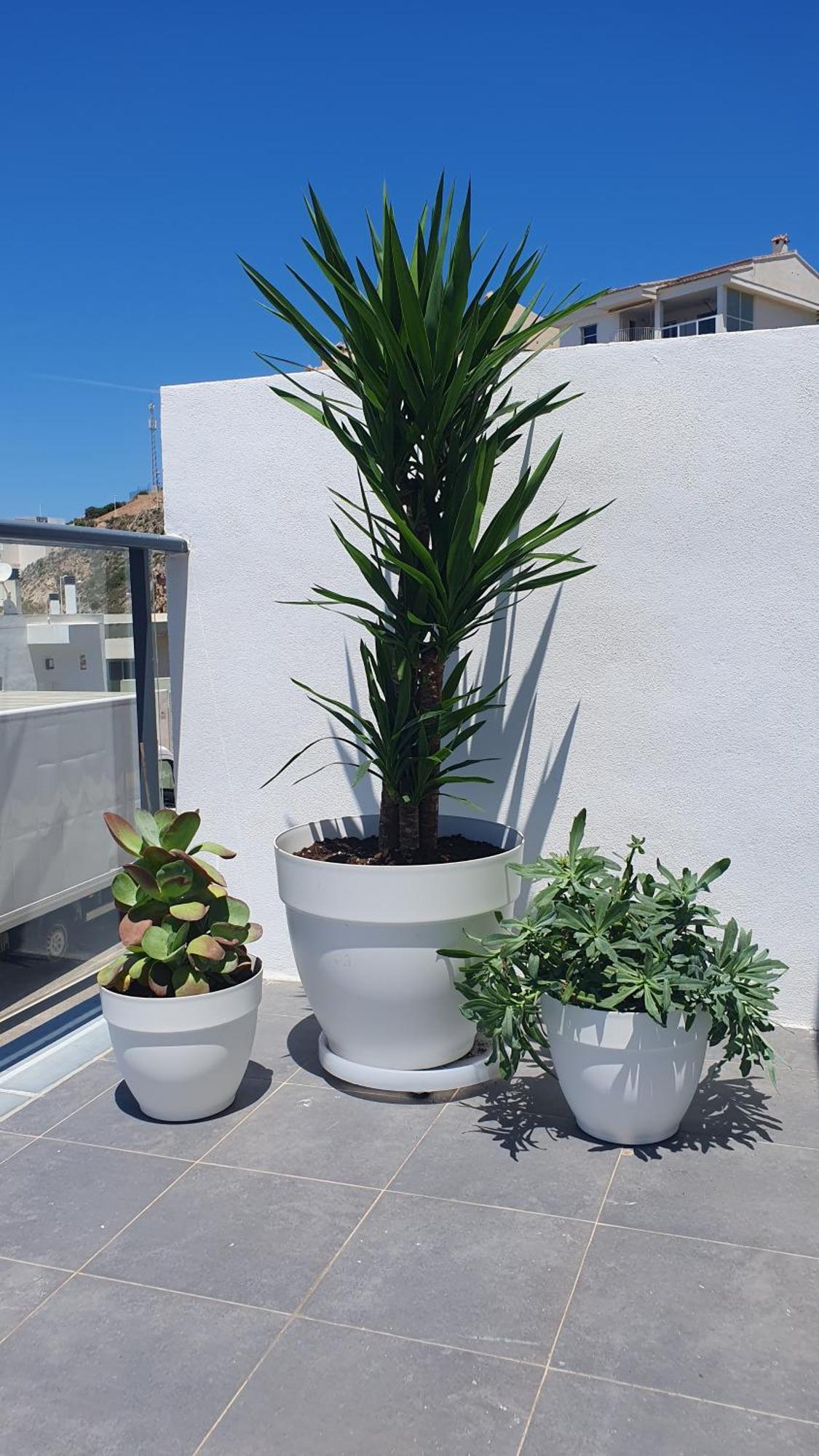 Casa Buena Vista Con Piscina Y Ascensor Villa Cullera Dış mekan fotoğraf
